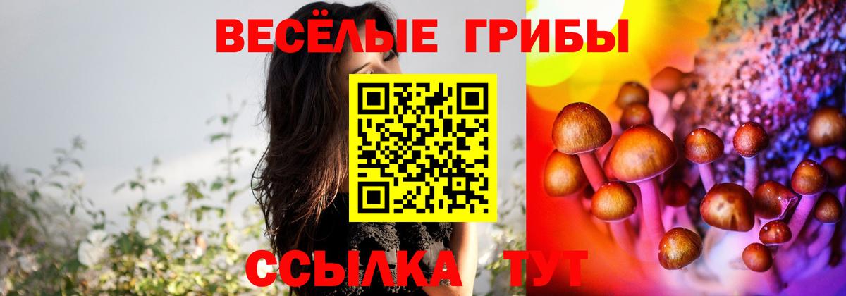 где купить наркотик  Галлюциногенные грибы ЛСД  Вход с VPN  Новосибирск 